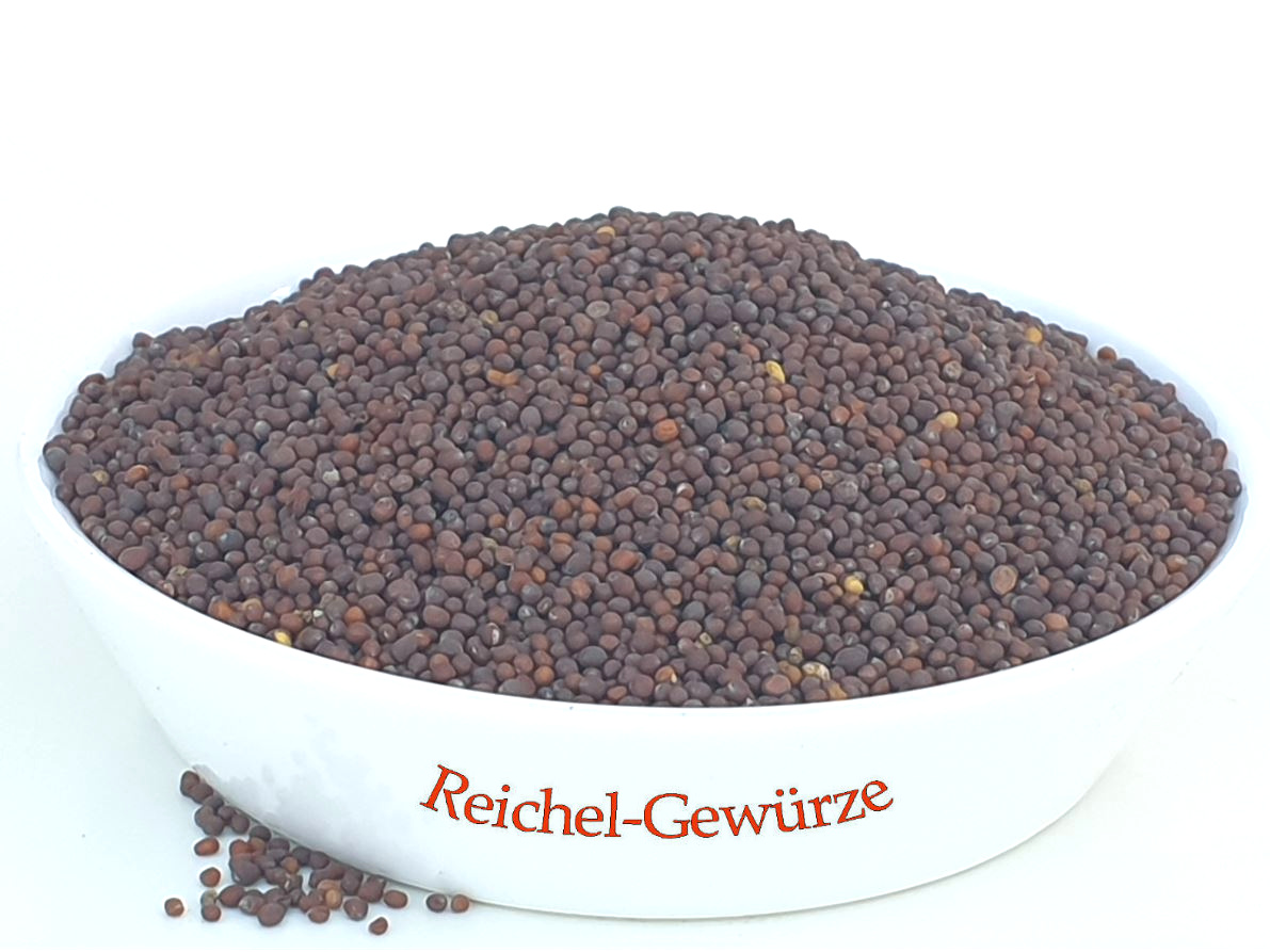 www.reichel-gewuerze.com - Senfkrner braun (brassica juncea)