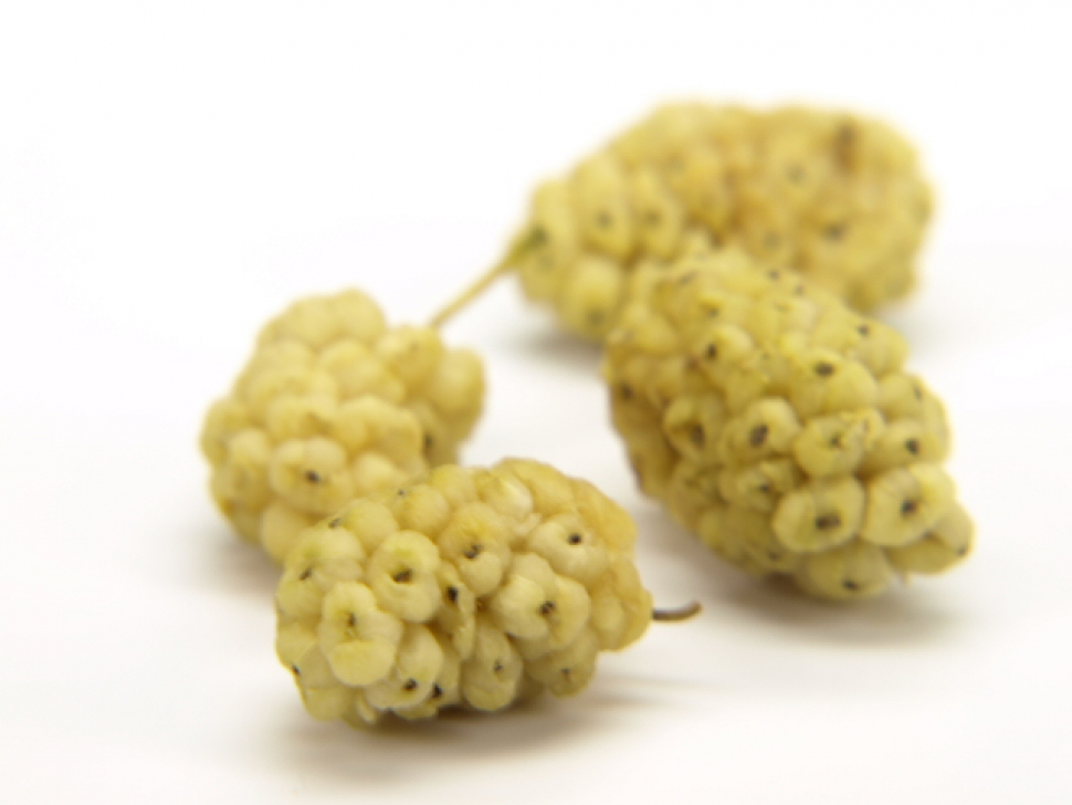 Maulbeeren unbehandelt