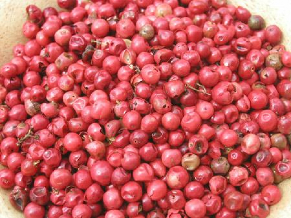 Rosa Pfeffer (Rosa Beeren)